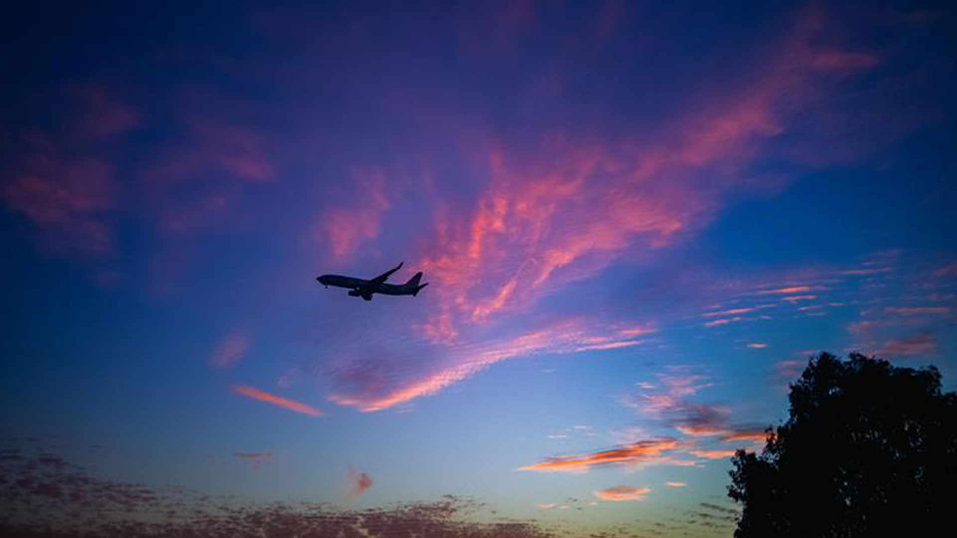 Copa Airlines Cancellation & Refund Policy