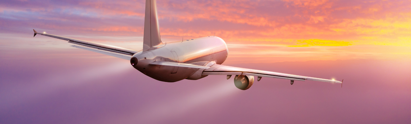 The Necessary Guidelines for an Avianca Flight 