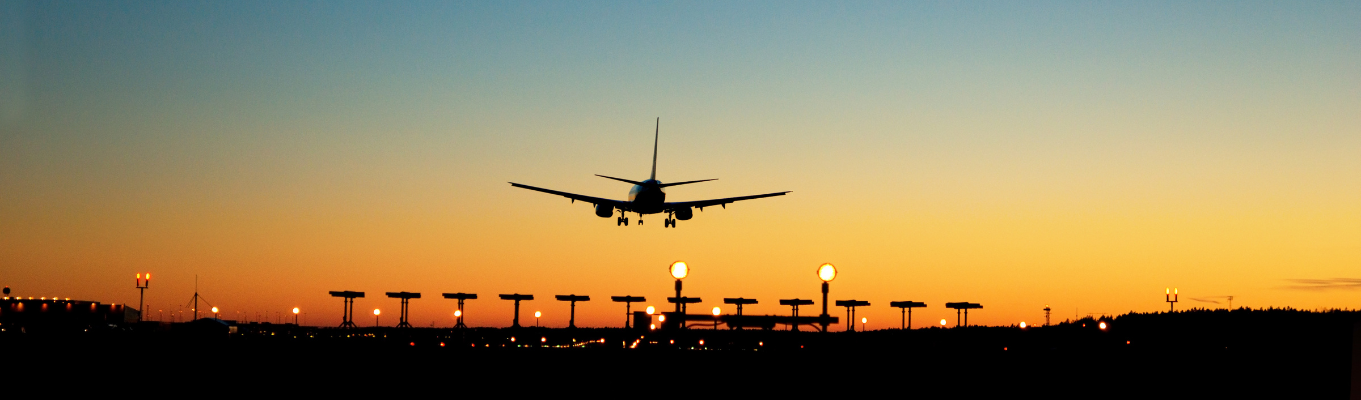 Top 10 Airlines in the USA in 2021 