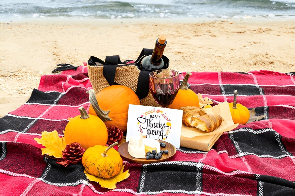 Best Thanksgiving Offers On Flights