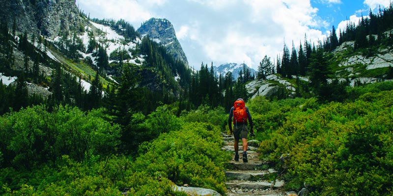 Jackson Hole, Wyoming, USA